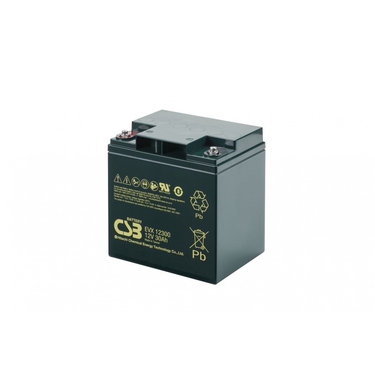 Haarzelf wacht Bliksem Deep cycle AGM loodaccu 12V 30Ah EVX12300 van CSB Battery
